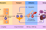 Do Antacids Treat Hemochromatosis ? Listen to the Patients — They Will Teach You Medicine