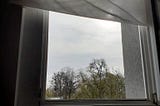 Day 34 of self-isolation in Dallgow-Döberitz, Germany