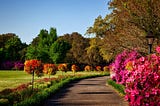 An Introduction to Different Kinds of Gardens