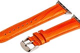 Clockwork Synergy — Lizard Leather Bands for Apple Watch (38mm Orange Band/Steel Hardware)