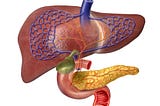 Does Consuming Cinnamon Really Bad for the Liver if taken on a Regular Basis?