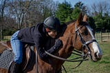 To the Women Who Taught Me to Ride