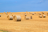 Making Hay