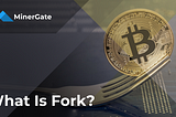 What Is Fork?