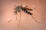 One in five too scared to travel because of mosquito-borne Zika virus