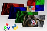 Computer Vision with OpenCV and Python to Transform Images