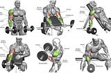 Best Forearm Exercises For Mass Bodybuilding