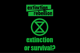 A Brutal Year Ends as Extinction Rebellion Rises