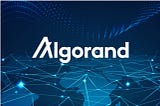 Why Noir has chosen Algorand?