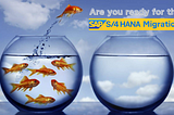 Is Your Business Ready for SAP S/4HANA Migration? Key Factors to Consider
