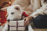 Quelle idée cadeau pour un propriétaire de chien qui aime les chiens?