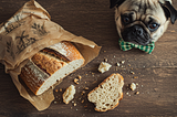 Why Bread Has Feelings Too: A Pug’s Philosophical Crumbs