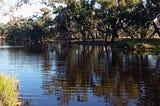 Solving the wicked problems of the Murray Darling Basin