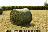 Long-Term Storing Silage Bales: How To Do It?