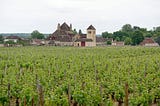 brown castle surrounded by green field of grape vines