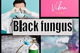 Black Fungus, treatments, symptoms, causes, and death rates