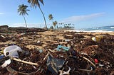 A beach strewn with seaweed and plastic.