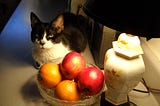 Author’s photo of Home Boy cat sitting on a table near a bowl of apples and a lamp