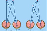 The Eyes Have It: Why Nature (Sometimes) Stops at Just Two