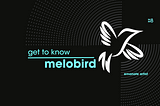 Get To Know: Melobird