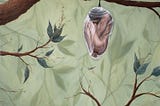 The Butterfly Woman