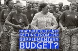 How Much Money Is Going To The NYS in the Supplementary Budget?