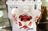 What are pelvic floor muscles?