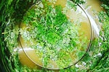 Vermouth the way it was supposed to be: just wine and fresh herbs.