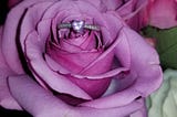 Your Last Name — My Forever