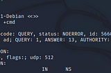 dig Command Linux ‘Query’ DNS