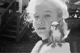 The tragic death of Peanut the Squirrel and the Human-Animal Bond.