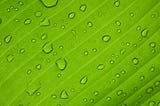 EU calls for rapid expansion of green hydrogen despite infrastructure and financial challenges