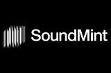 SoundMint Treasury: Spending Plan & Vision