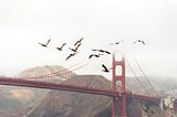 Why Silicon Valley is the Best Place for Tech Entrepreneurship