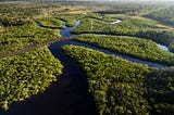 Part 3.5: Amazon rainforest