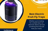 Best Electric Fruit Fly Traps