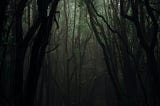 Haunted Treasure Forest