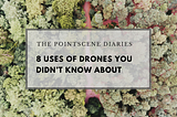 The most interesting drone applications