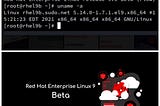 Red Hat Enterprise Linux 9 Beta is out now !