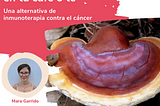 Ganoderma lucidum en tu café o té