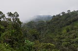 The Mountains Challenge and Reward You Equally