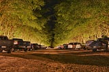 Parking lot under trees