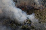 Thousands of Fires Are Burning in the Amazon Rainforest