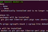 Install Metasploitable2 via docker (Ubuntu)
