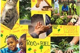 Investing in Community Power in Bronx, NY