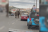 “Montana town startled as circus elephant Viola goes on an unexpected stroll after escaping”