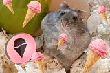Hamsters can’t eat Gelato (Network)
