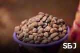 From Shea to City: Tracing the Roots of Tamale Through the Shea Tree