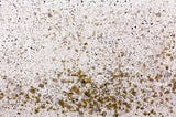 Comment éliminer la moisissure mur efficacement