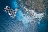 Aquaculture: Maximizing Benefits and Minimizing Trade-Offs for a Sustainable Future